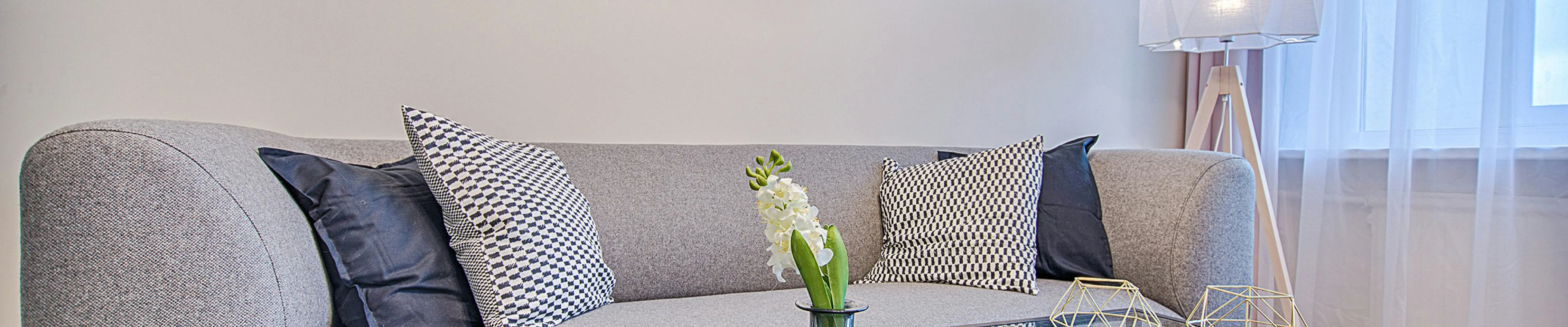 Contact carpet cleaning in Brooklyn